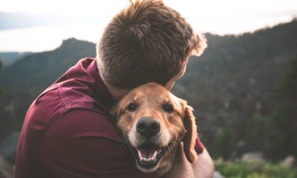 A boy hugging a dog