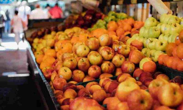 Organic fruit market