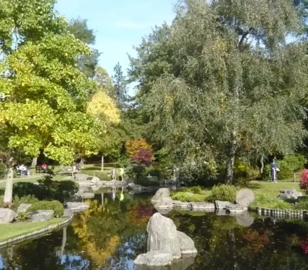 Kyoto Garden London pond 