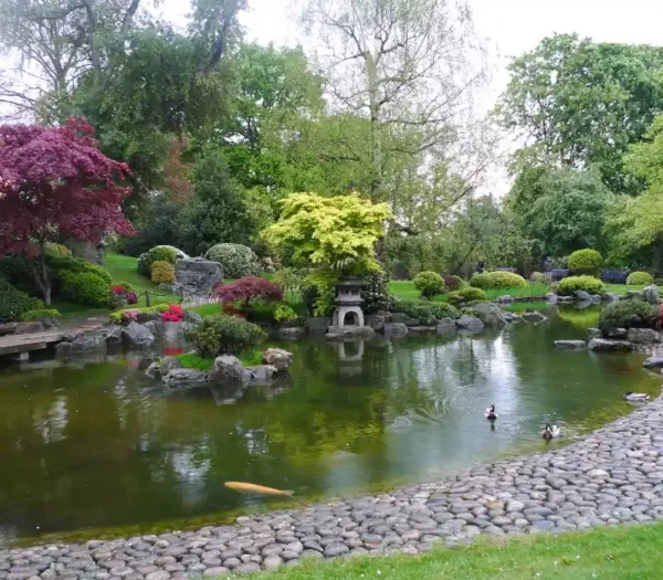 Kyoto Garden London pond
